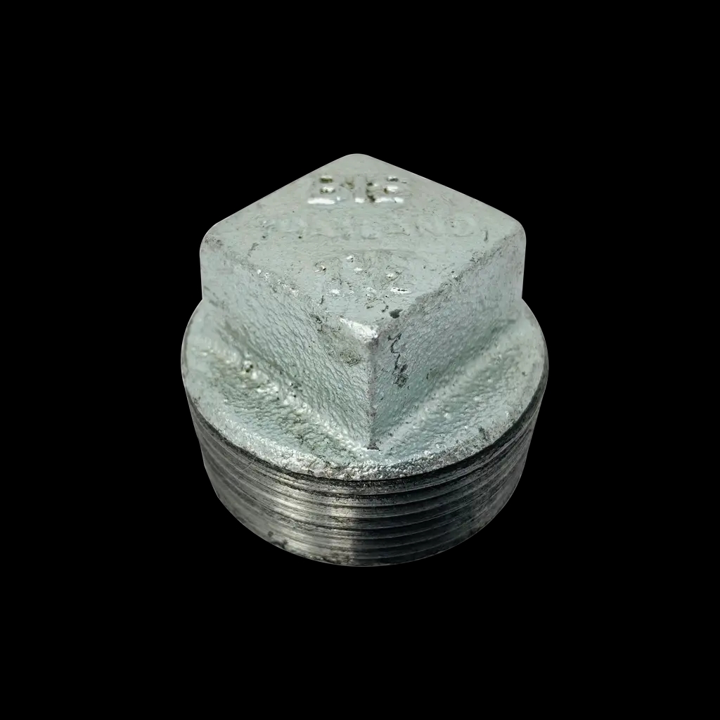 Plugs