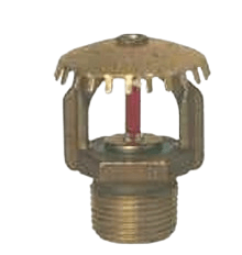 518881155-IMG.png