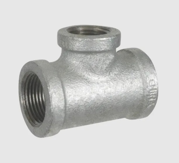MN-ZMGTR0401.png