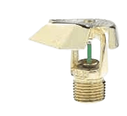 516201200-IMG.png