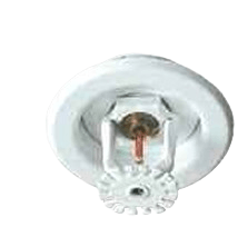 510109155-IMG.png