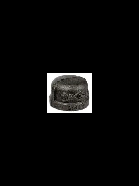 2-1/2" Ductile Iron Cap