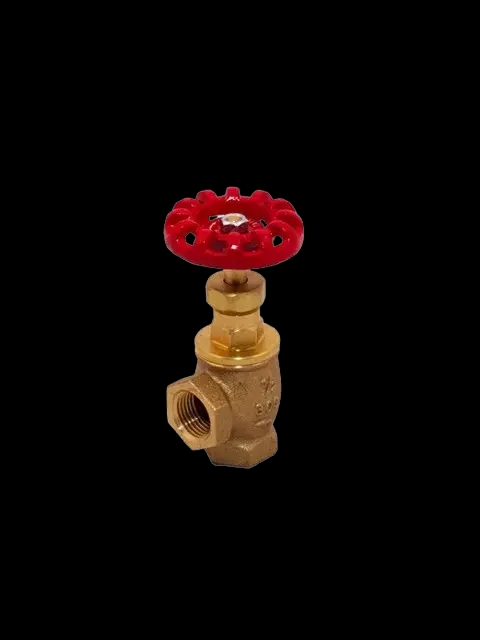FPPI 4324000304 3/4" Globe Valve