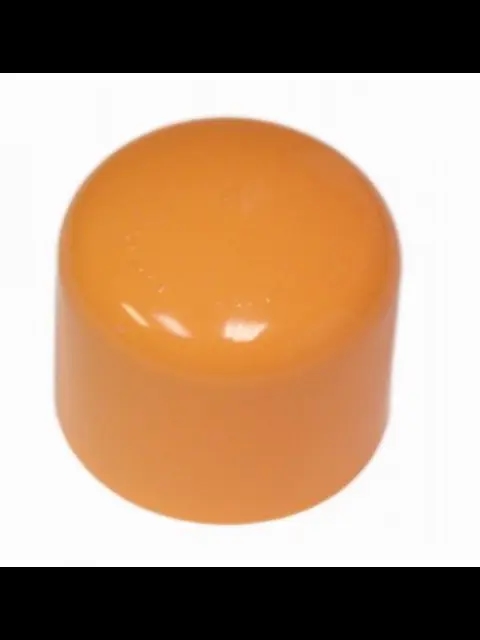 Tyco BlazeMaster 1-1/4" Orange CPVC Cap For Fire Sprinkler